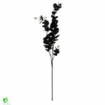 Eucalyptus grein svört 83cm