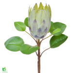 Artichoke grein græn 71cm