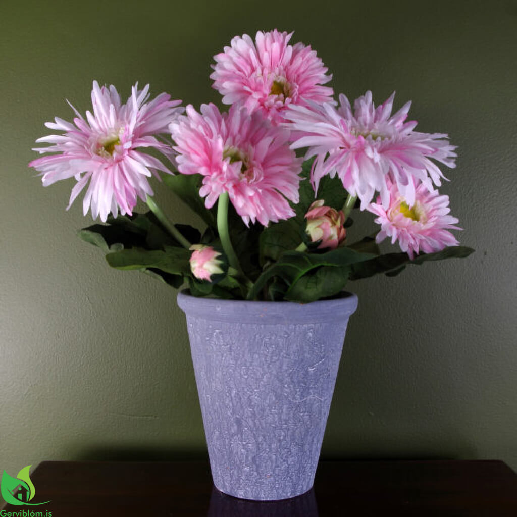 LEAF-40100-W-600×600