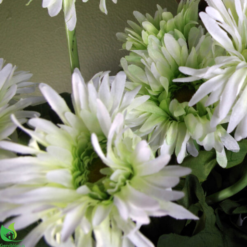 LEAF-40110-W-3-600×600