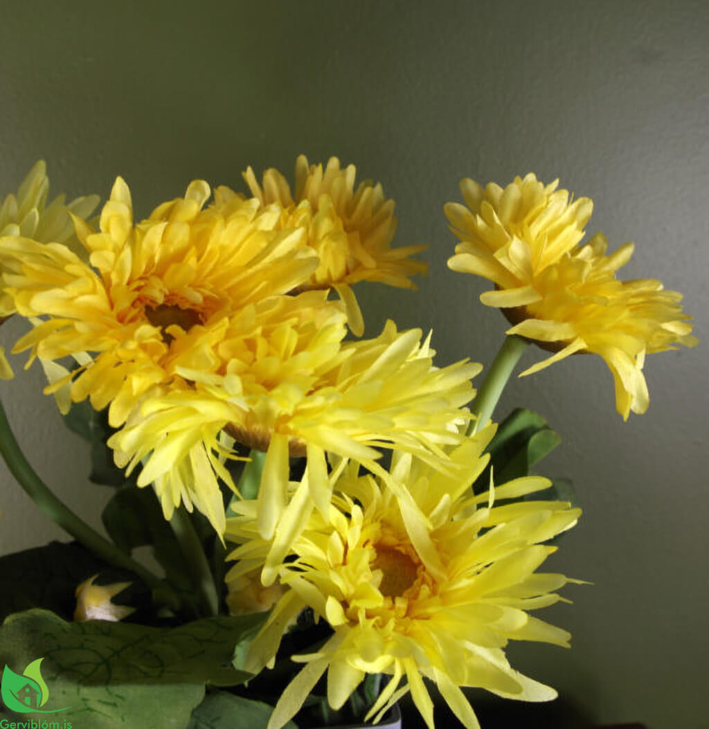 LEAF-40112-W-2-600×617