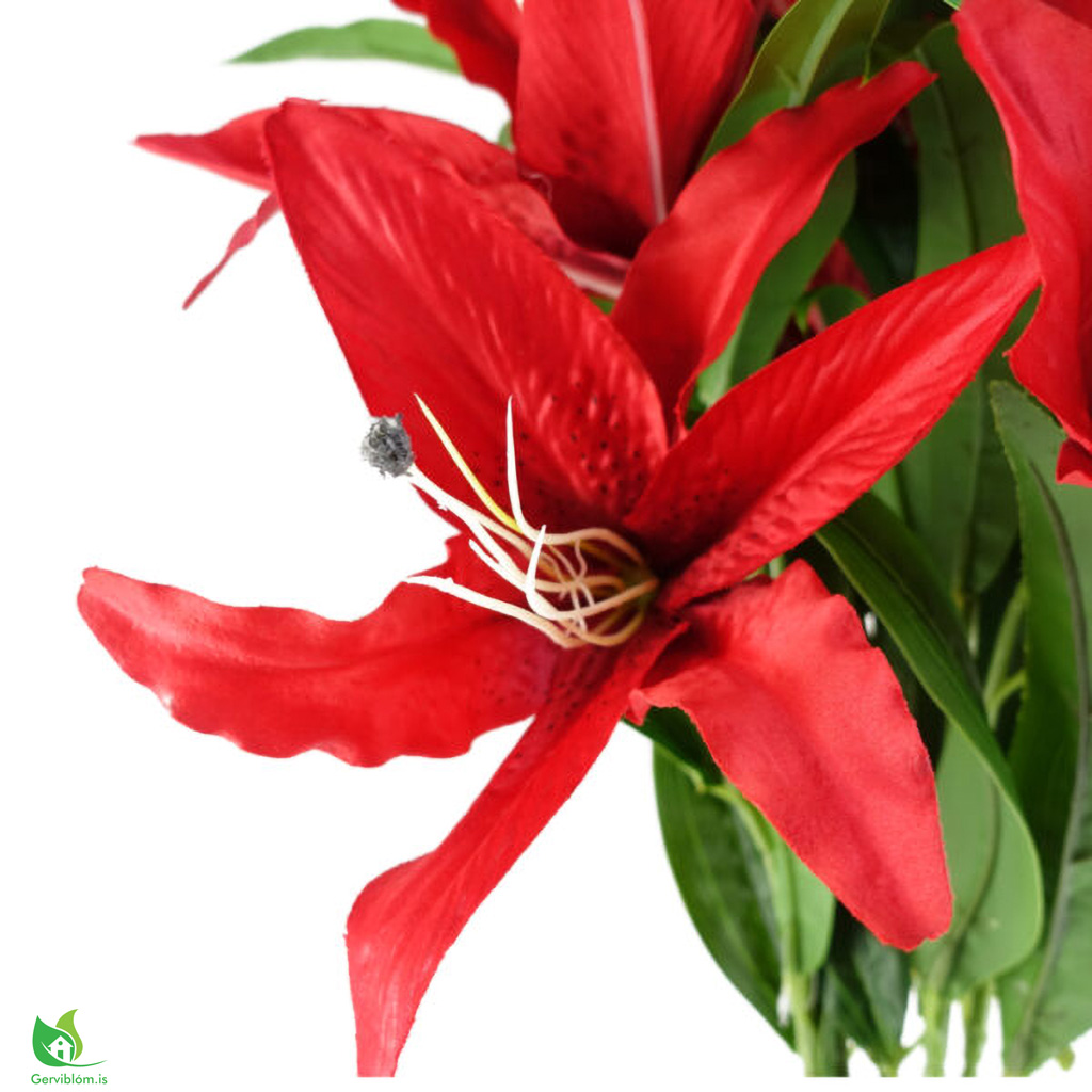 LEAF-40669-2-600×600-2