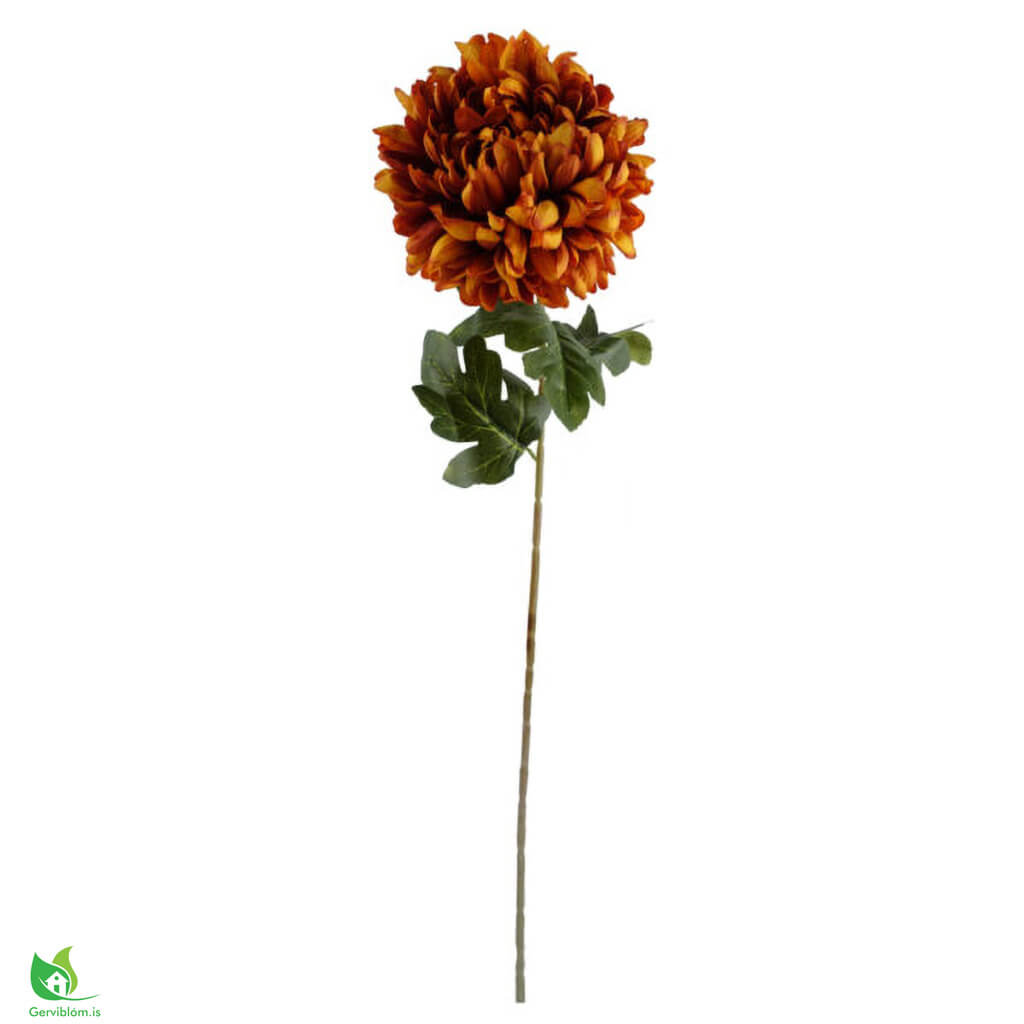 LEAF-40684-2-600×600