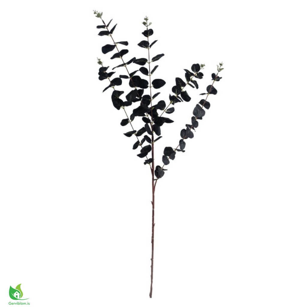 LEAF-40695-2-600×600-1