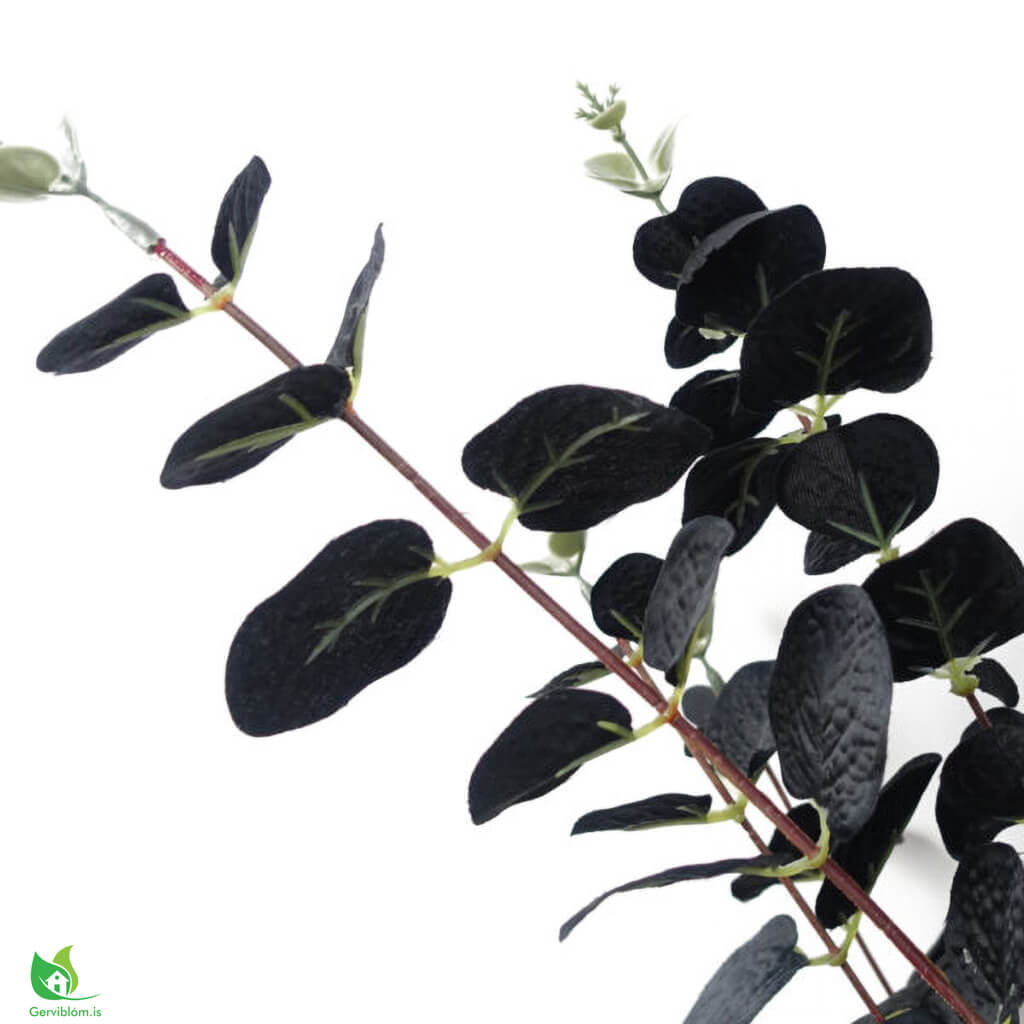 LEAF-40695-4-600×600-2