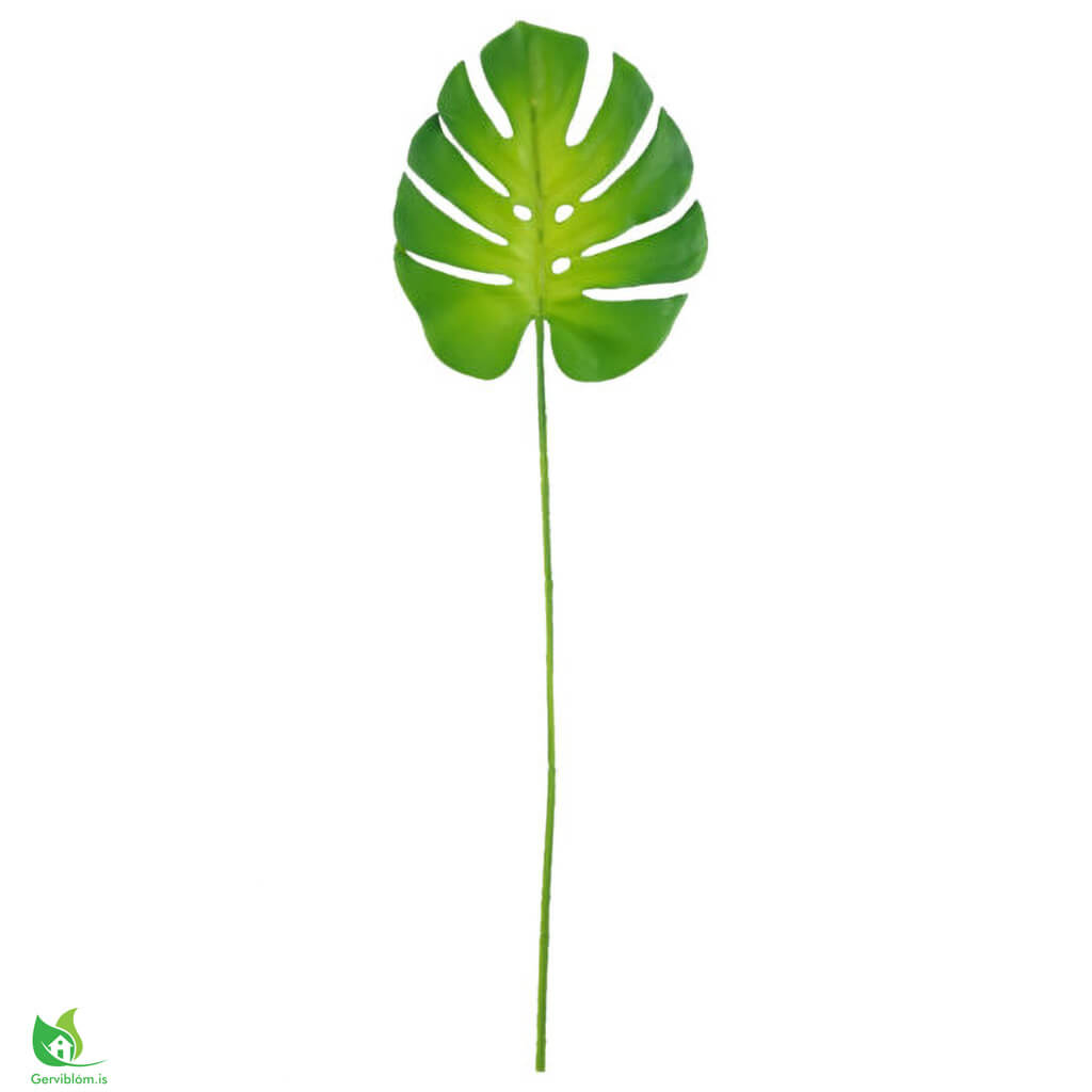 LEAF-40700-2-600×600-1