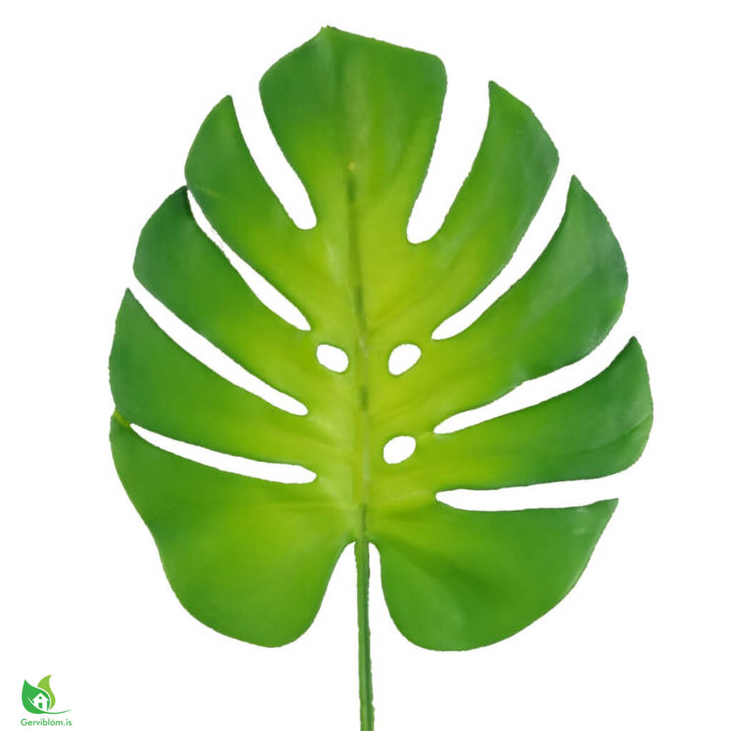 LEAF-40700-600×600-2