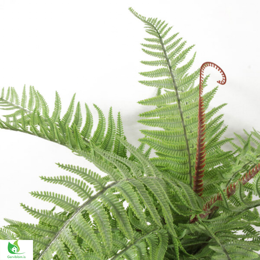 LEAF-7629-2-600×600-2