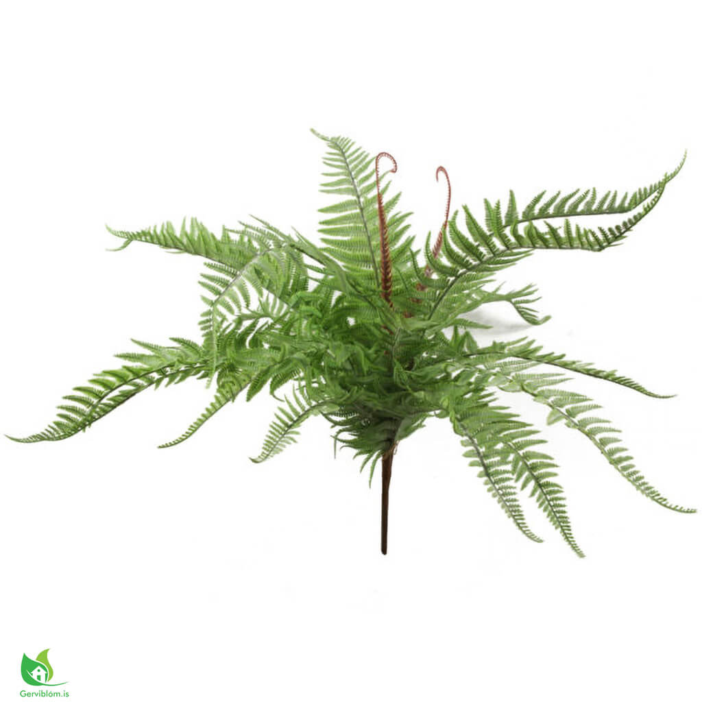 LEAF-7629-600×600-1