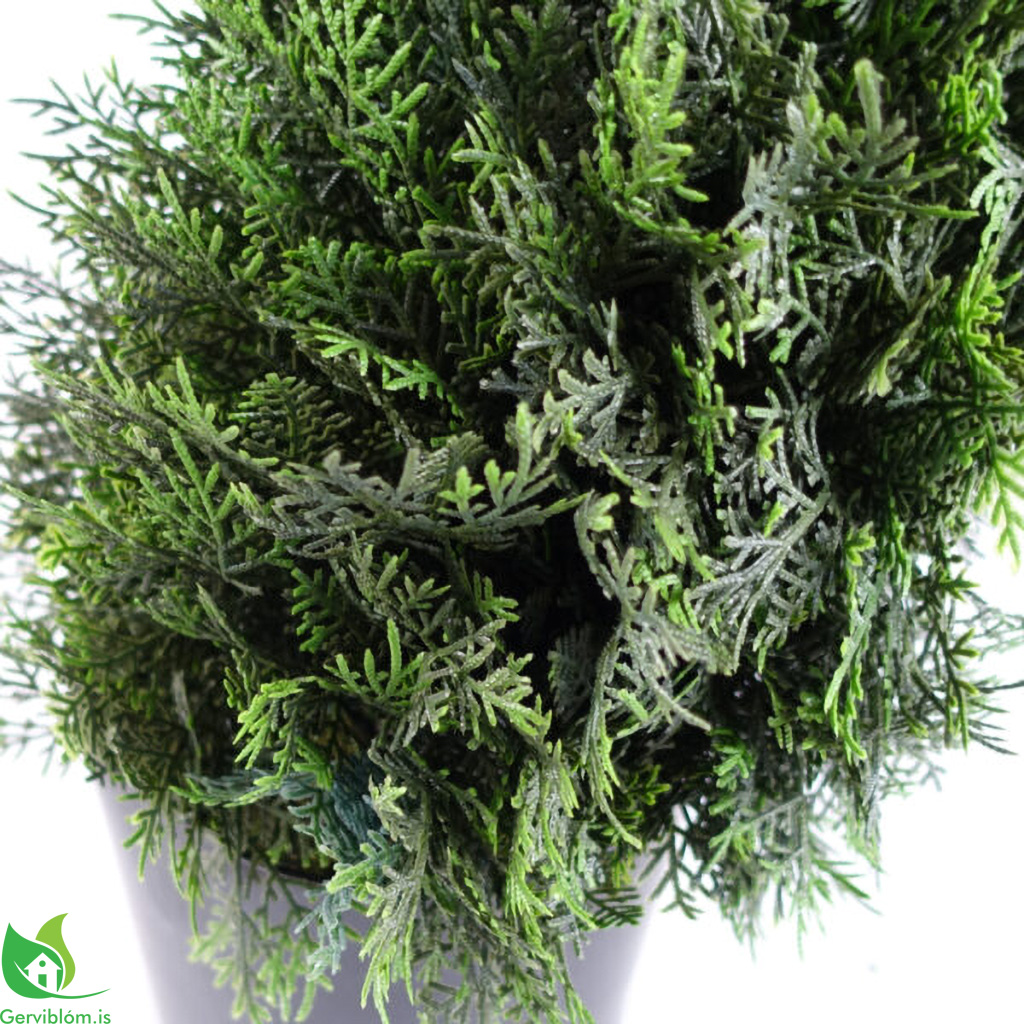 LEAF-40531-2-600×600