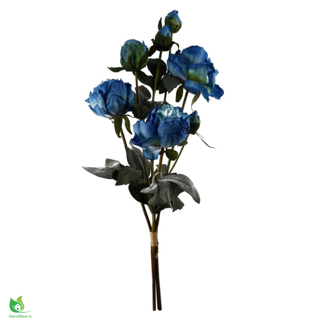 LEAF-40613-2-600×600