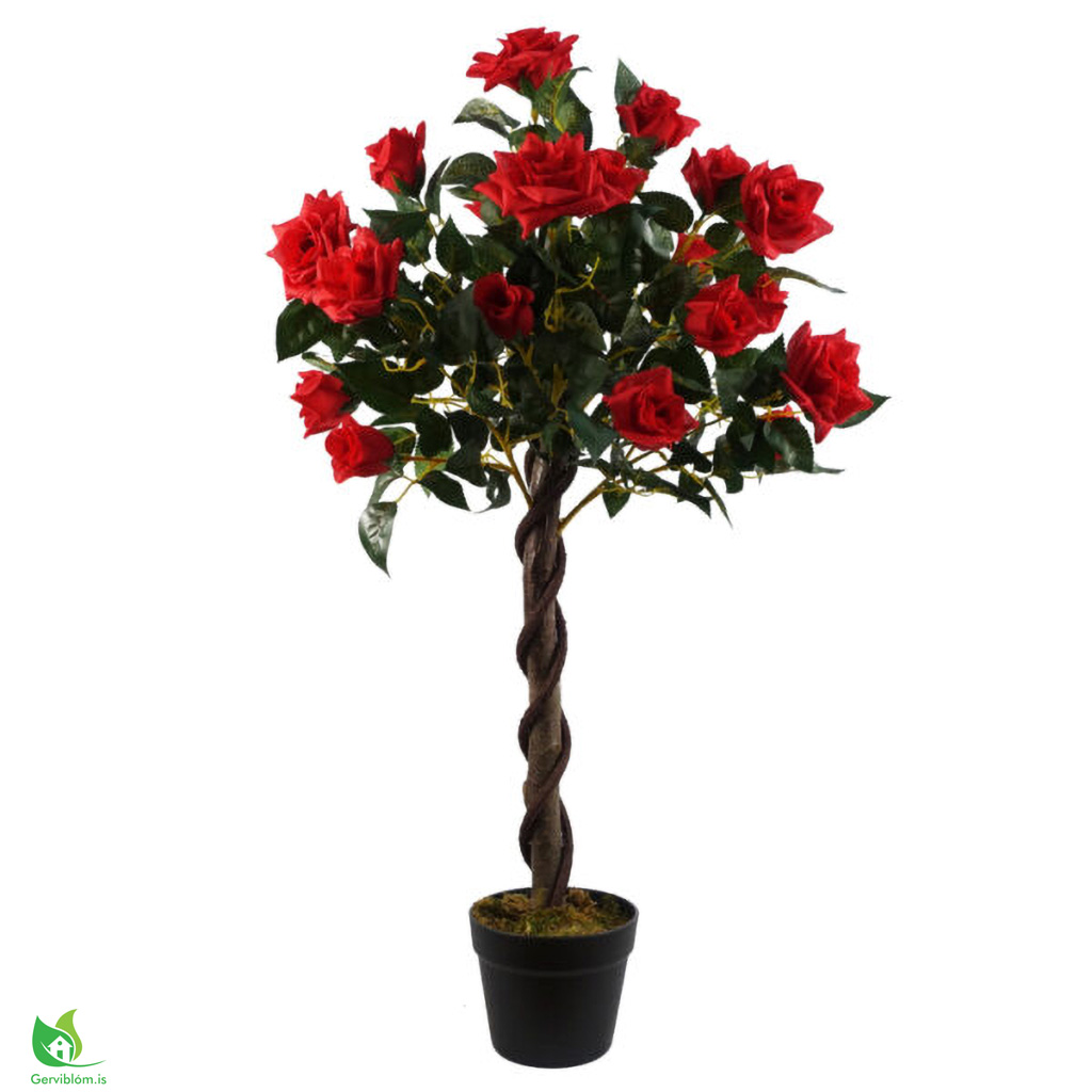 LEAF-40777-1-600×600