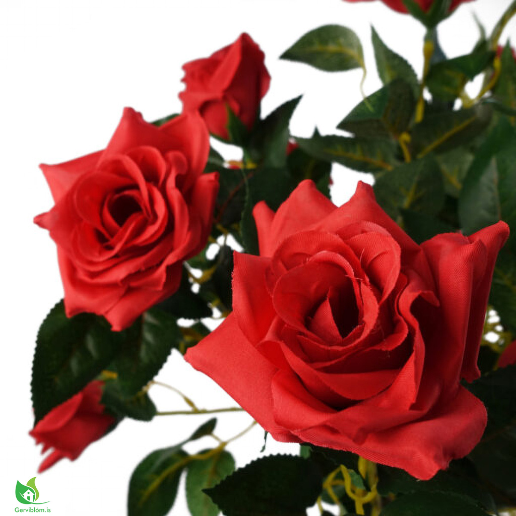 LEAF-40777-2-1-600×600