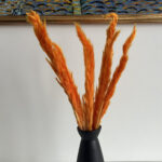 Pampas strá orange 45cm 7stk